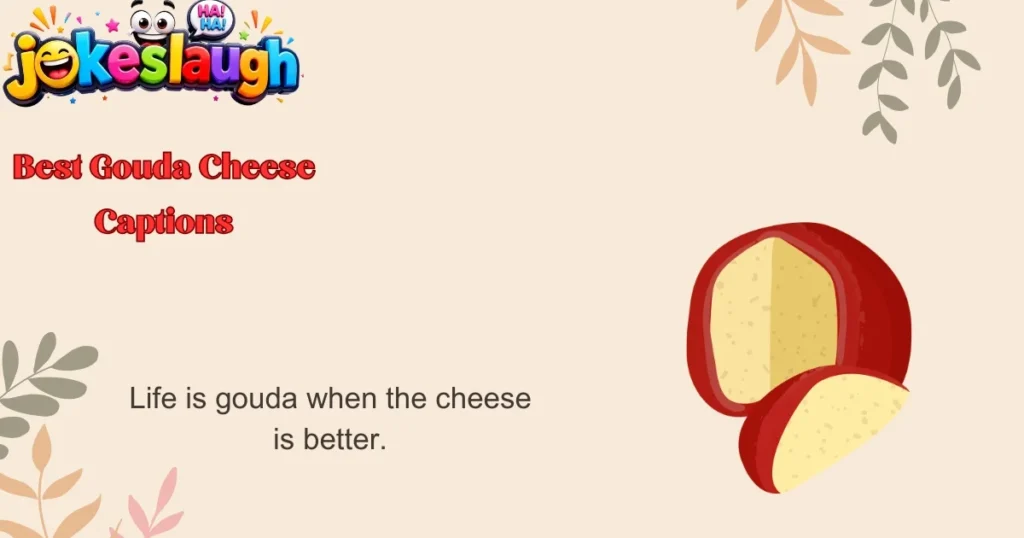 Best Gouda Cheese Captions