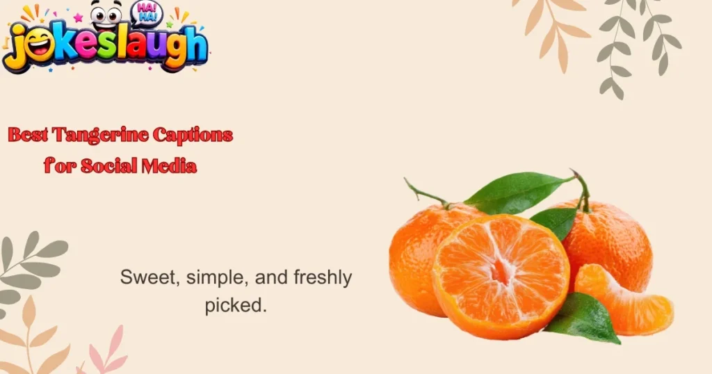 Best Tangerine Captions for Social Media